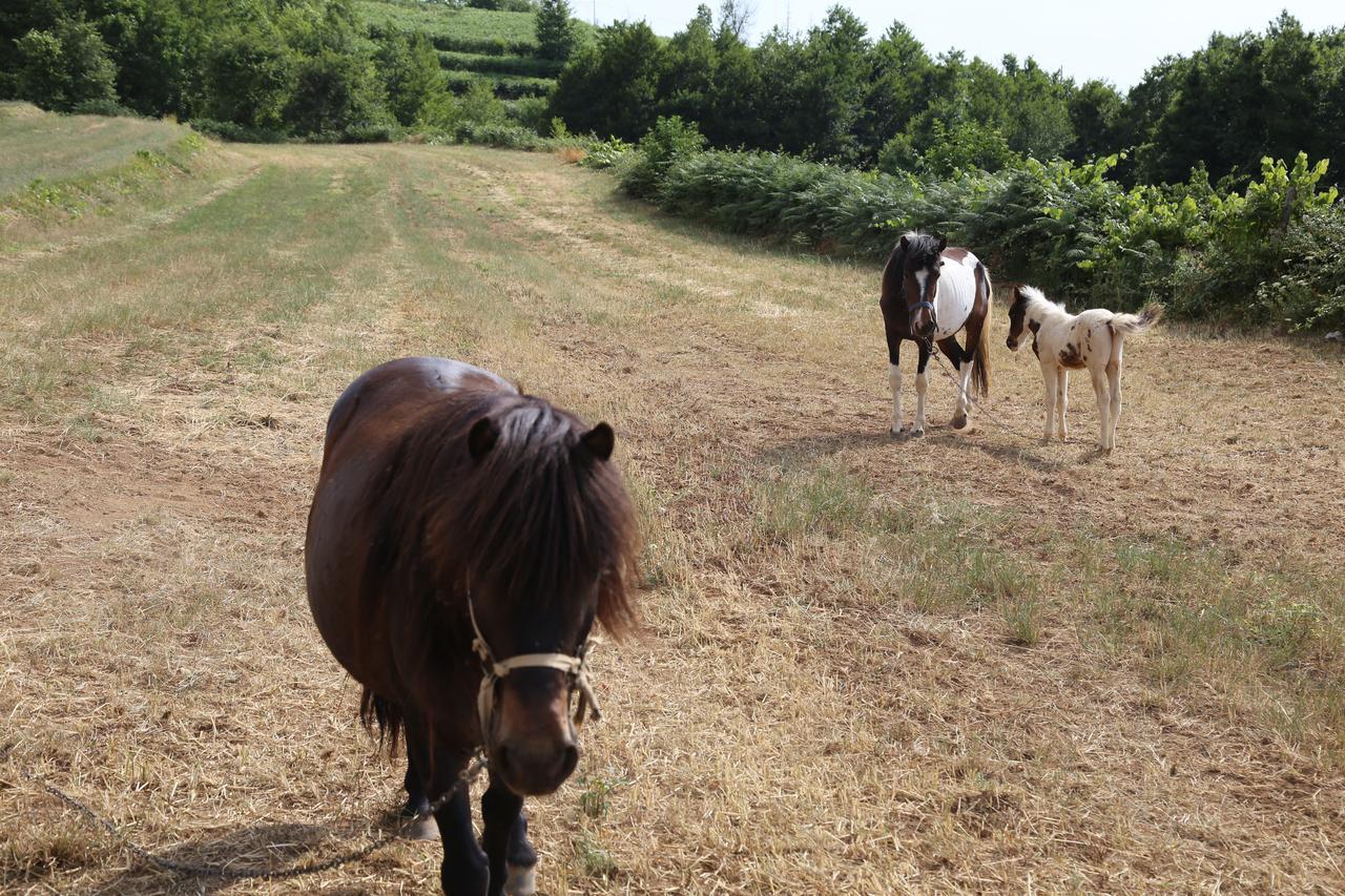 Agriturismo Pirara Sant'Angelo  Eksteriør bilde